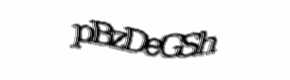 Security check image, please type the characters shown