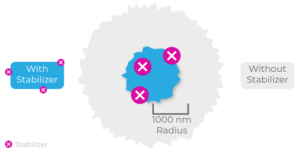 A stabilized transfection complex stays under 1000 nm. Contrasted with an unstabilized transfection complex which will grow past a point of viability.