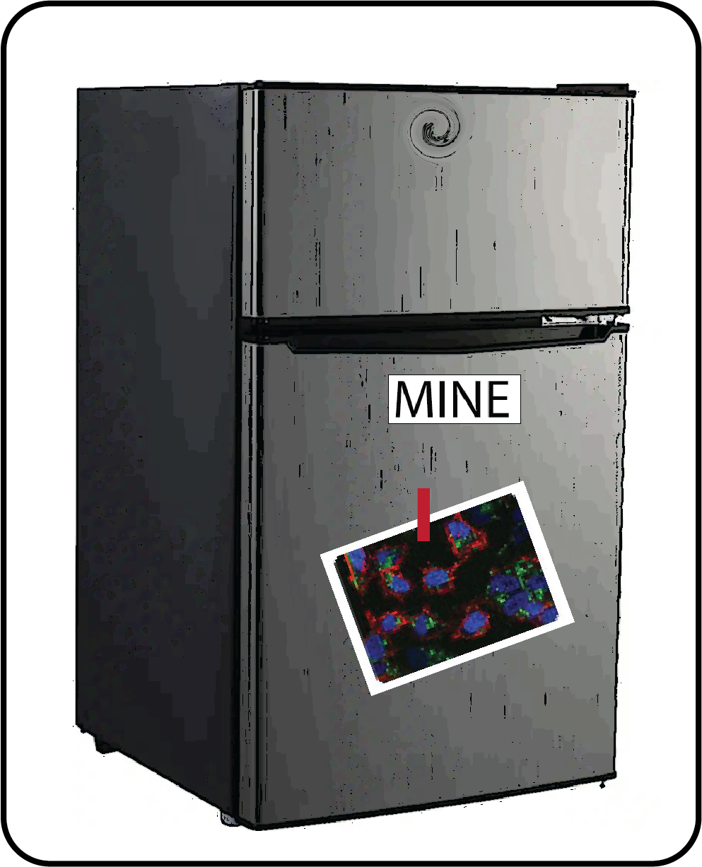 A fridge labeled MINE.