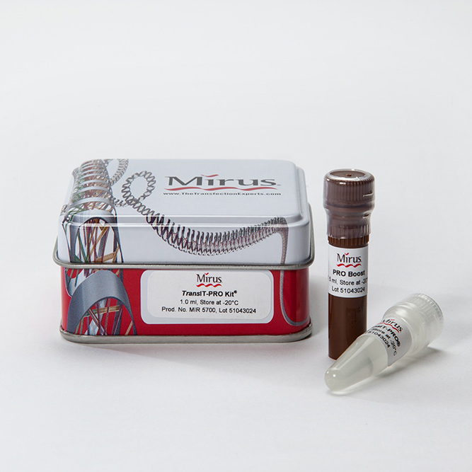 TransIT-PRO Transfection Sample