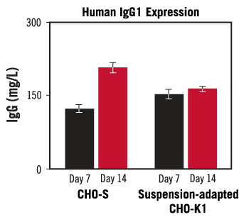 Graph showing comparable IgG1 yield in CHO-S and suspension-adapted CHO-K1 cells.