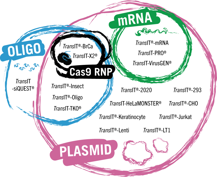 What's in a (product) name? – Mirus Bio